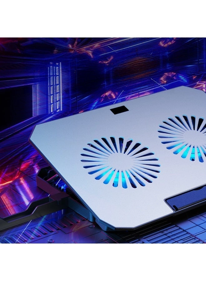 CF-12 - Dual 17 inch