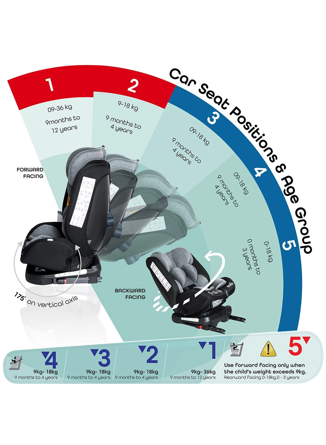 Rover - 0-12 yr(s) Seat Belt
