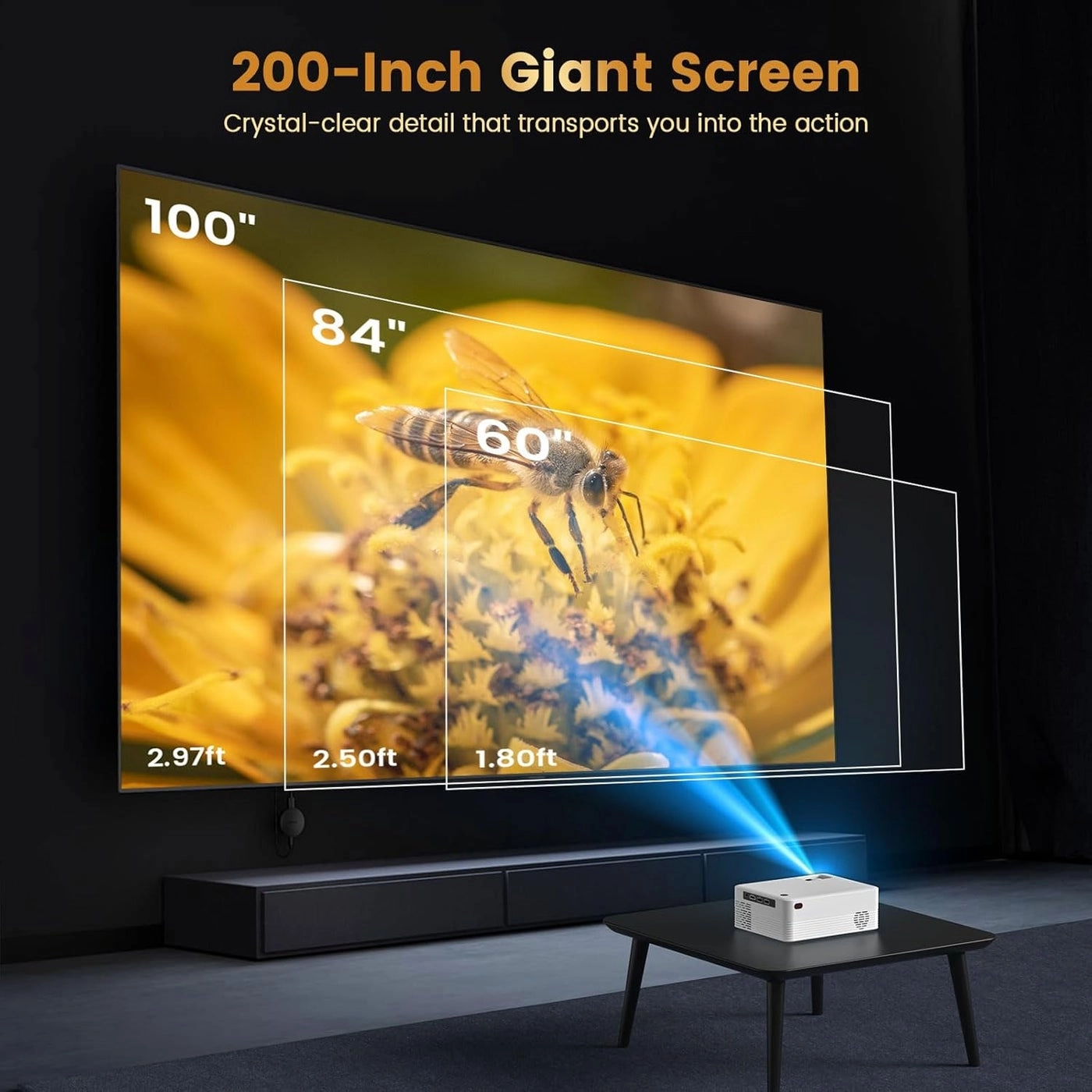 H5 300 ANSI 1920 x 1080