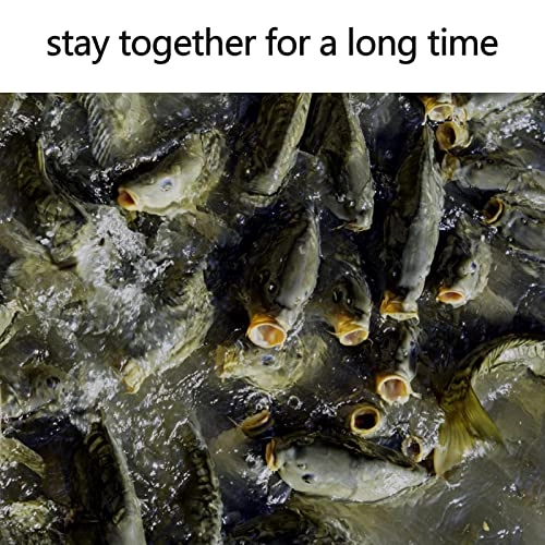 Air Fryer Bacon Rack - Stainless steel 3 piece(s)