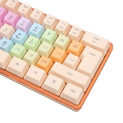 61 Keys Mechanical Keyboard
