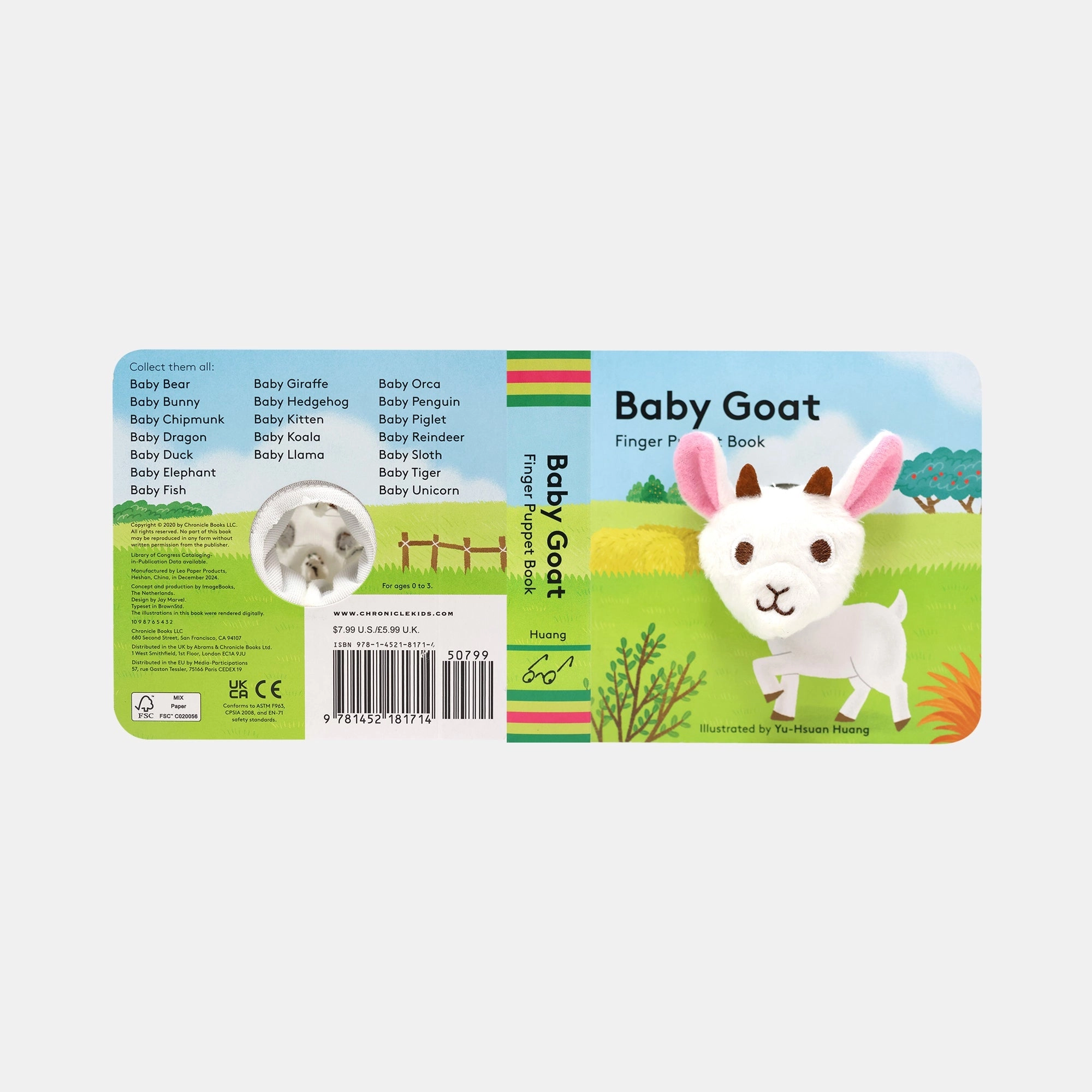 Baby Goat