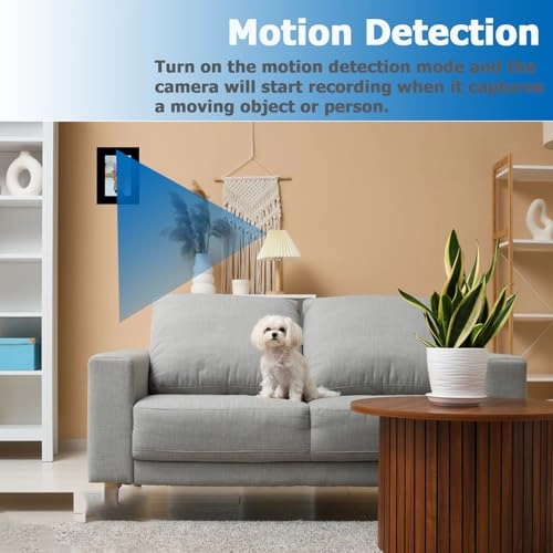 Photo Frame Camera - 1080p 30fps