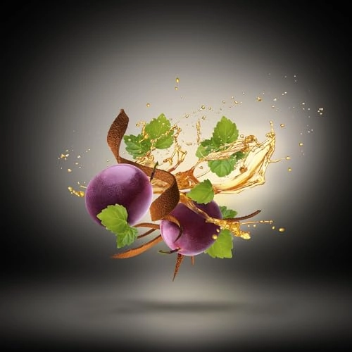 Tony Iommi Monkey Special Eau de Parfum 100 ml