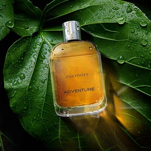 Adventure Eau de Toilette 100 ml