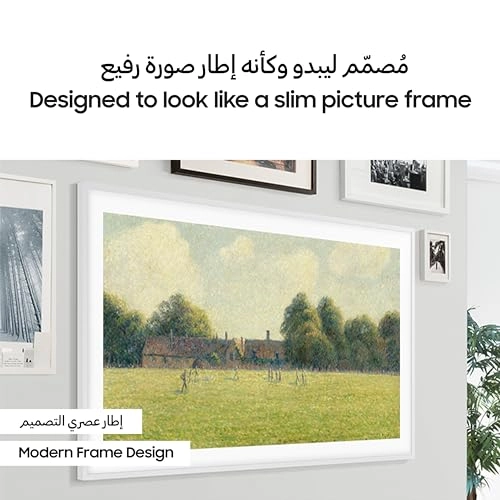 QA75LS03DAUXZN - 75 inch