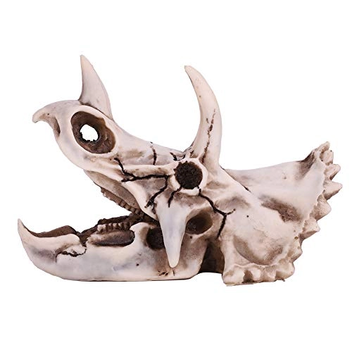 Triceratops Skull - 14 centimeters