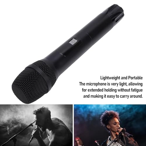 Karaoke Microphone
