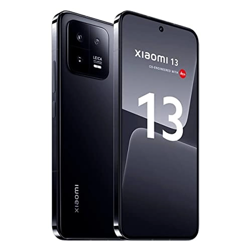 13 - 8GB 256GB