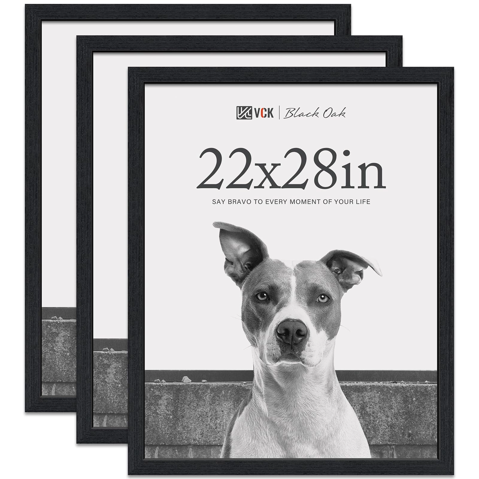 vck Poster Frame - 22 x 28 Pack