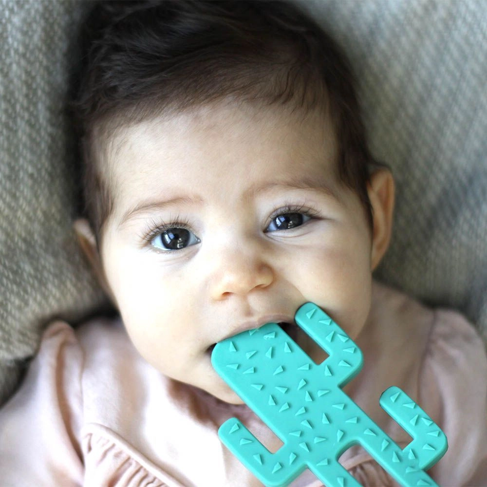 Silicone Cactus Teether