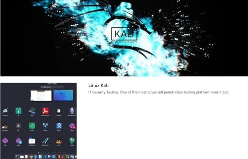 Kali - USB/USB-C Dual Connector 8GB
