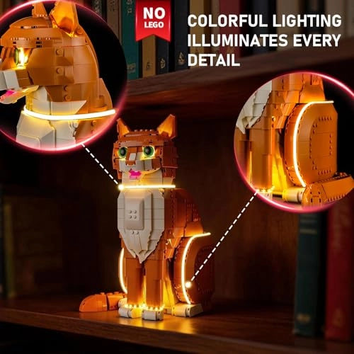 Orange Cat (21376)