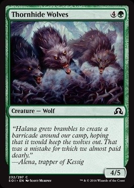 Wizards of the Coast Thornhide Wolves 232/297 - Shadows Over Innistrad