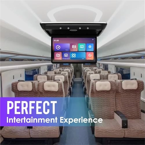 Car Roof Monitor - 13.3 Inch