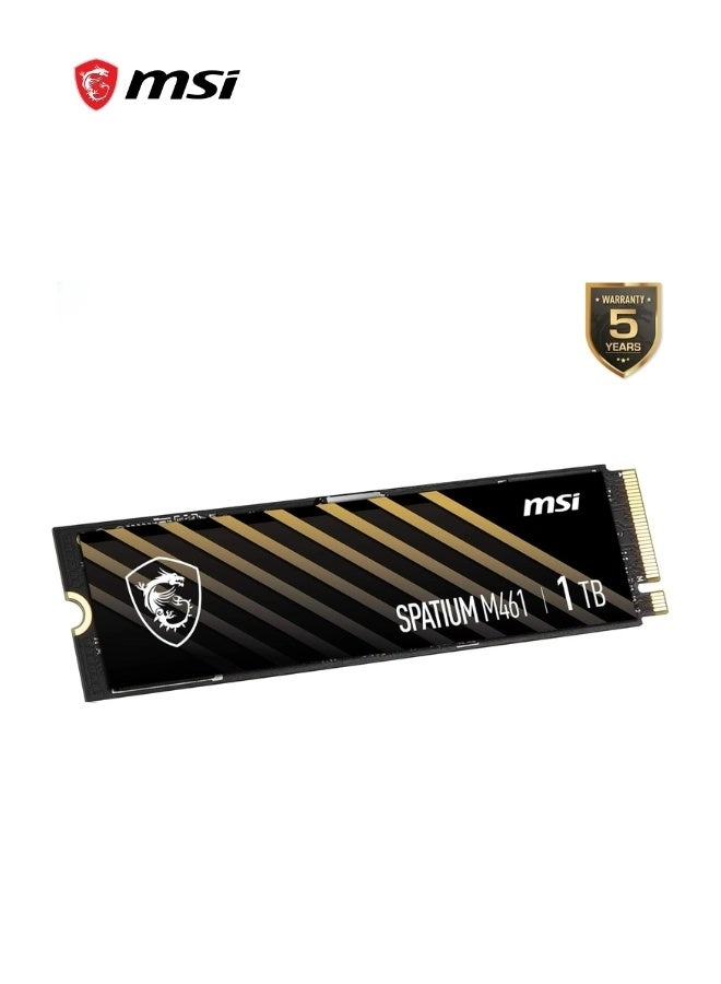 SPATIUM M461 - 1TB M.2