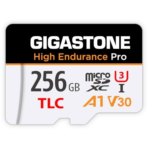 Gigastone Micro SD Card - 256GB