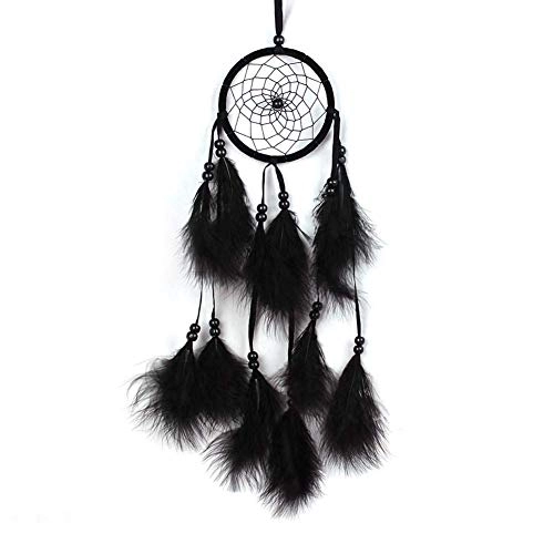 Dreamcatcher - Siderosphere, feathers, lines, wood beads.