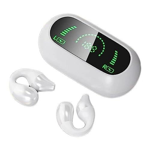BT 5.3 Wireless Earbud