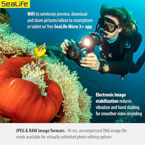 Micro 3.0 Pro - 64GB 4K 120FPS + Sea Dragon 3000 - 3000 lumens