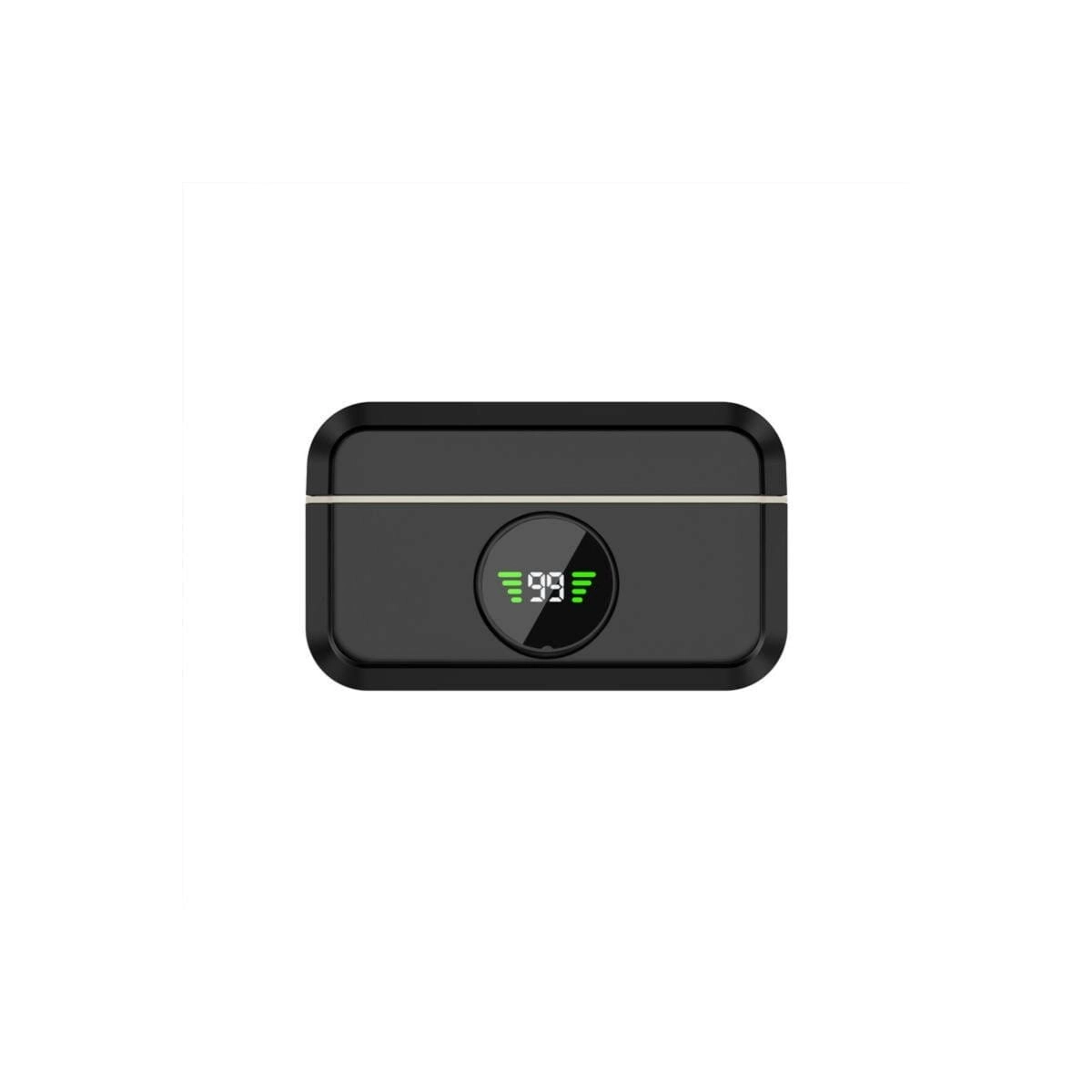 Wireless Dual Microphone System - two