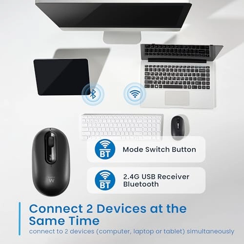 EW3241 Mouse - Wireless