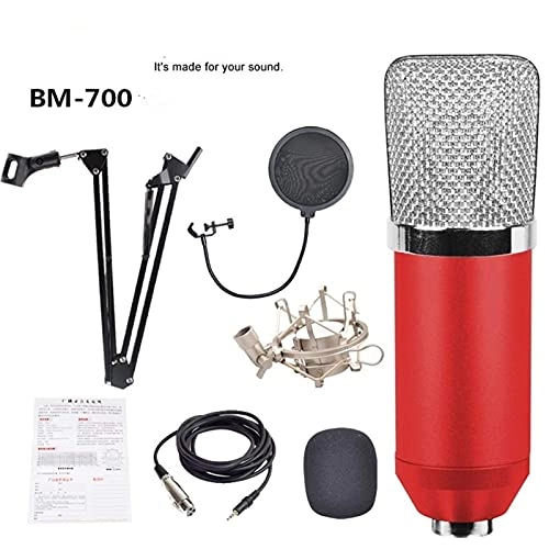 8559899 USB Microphone Set