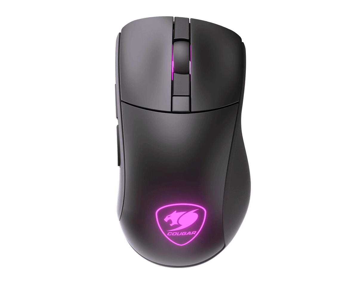 Surpassion RX - Wireless