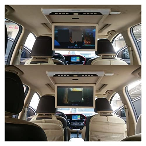 Car Ceiling Display - 19 Inch