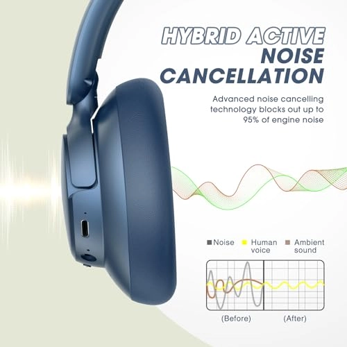 WH305B Wireless Headphone