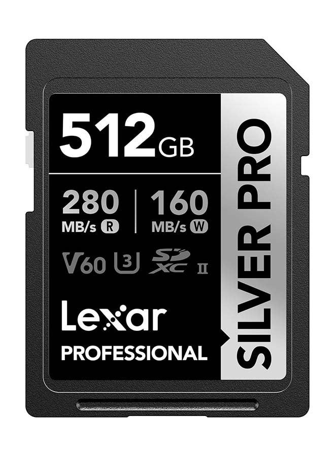 Lexar LSDSIPR512G-BNNNU - 512GB