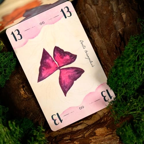 Who Will Be for the First Le Carte? (Italian)