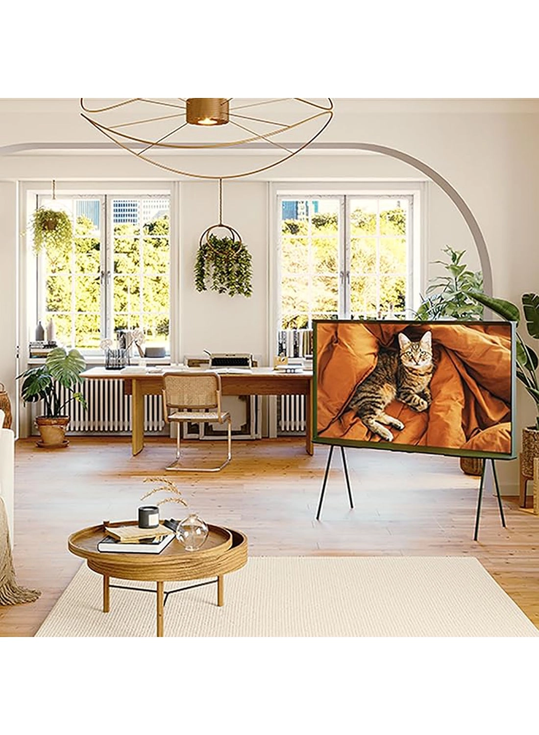 QA55LS01DAUXZN - 55 inch