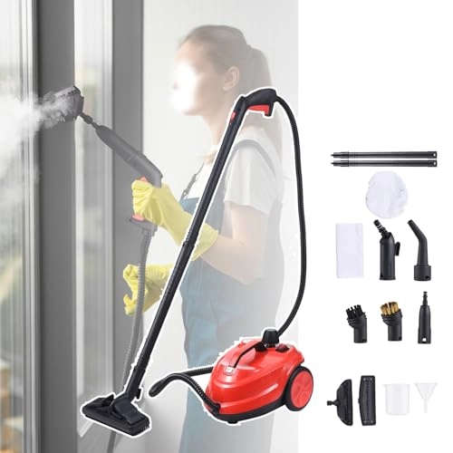 Portable Steam Cleaner - 5 bar 2 L