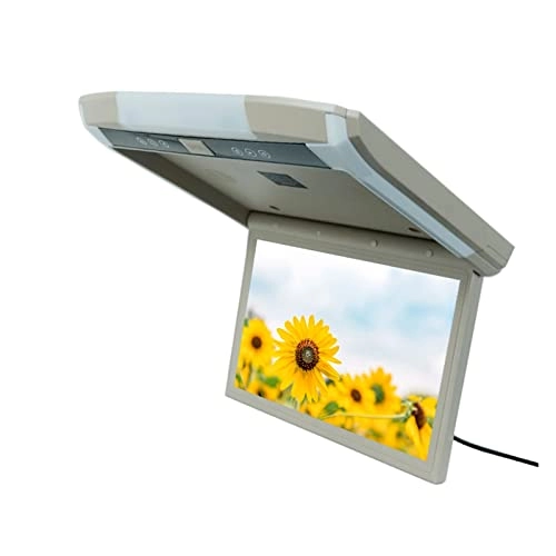 LU-1218MP5 - 12.1 inch