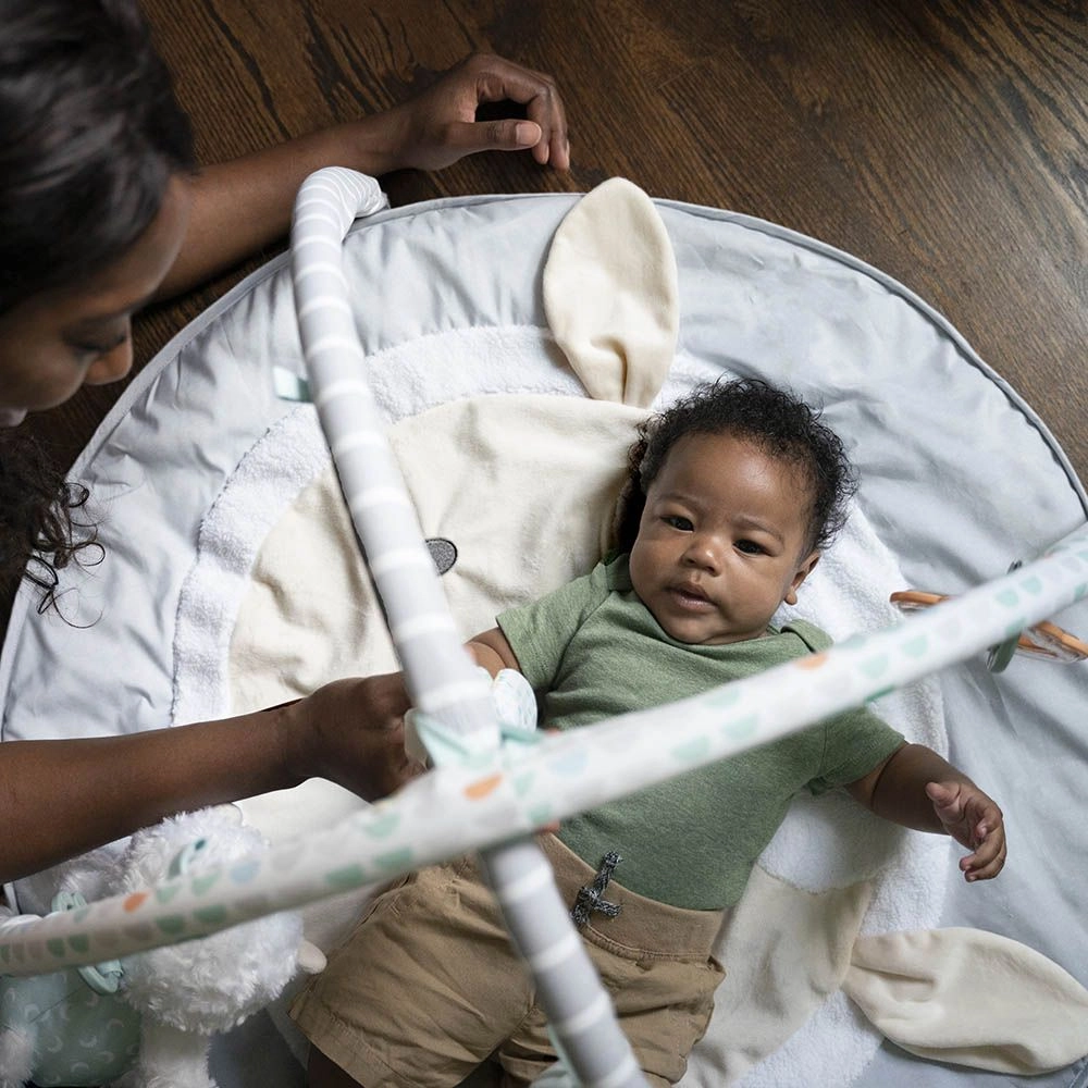 Sheppys Spot Plush Activity Gym - 0 month