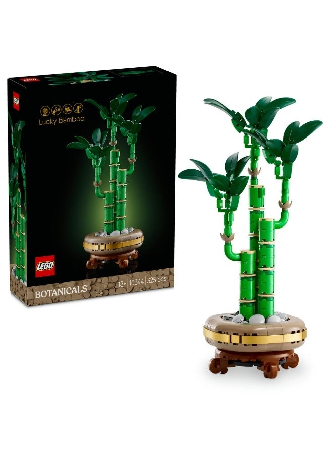 Lucky Bamboo (10344) - Botanicals