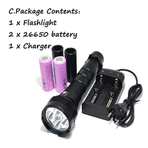 Submersible Light
