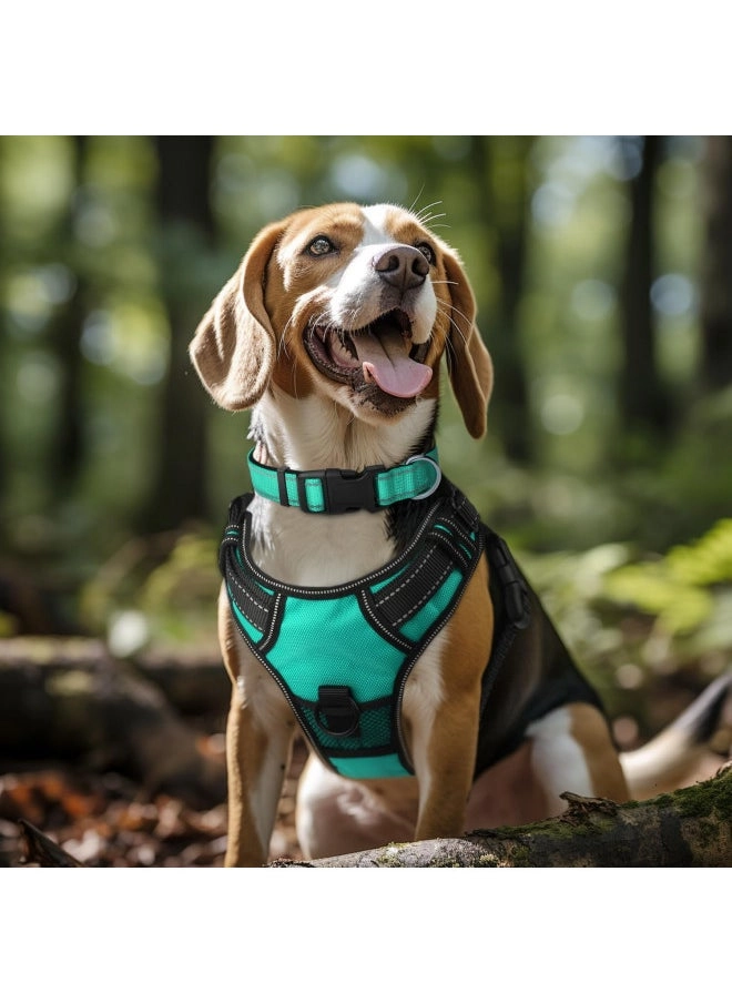 Joytale Reflective Dog Collar Dog L