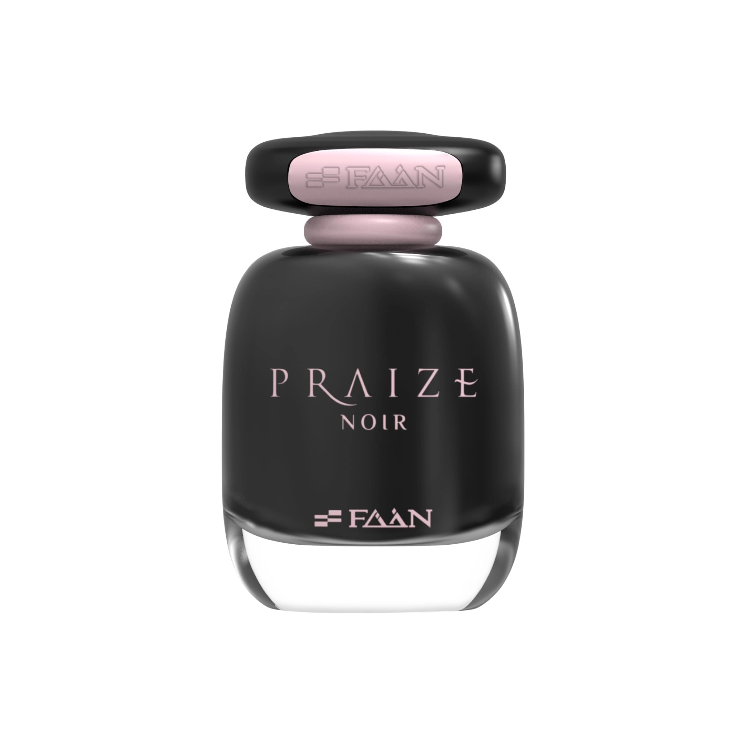 FAAN AL IBDAA PERFUMES & COSMETIC IND LLC Praize Noir Eau de Parfum 100 ml