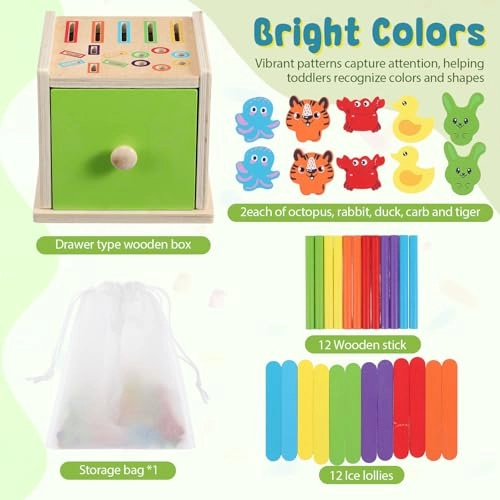 Wooden Color Matching Toy - 15 years and up