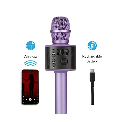 Karaoke Microphone