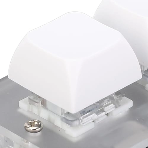 8ct7swad3g - Wired/Wireless