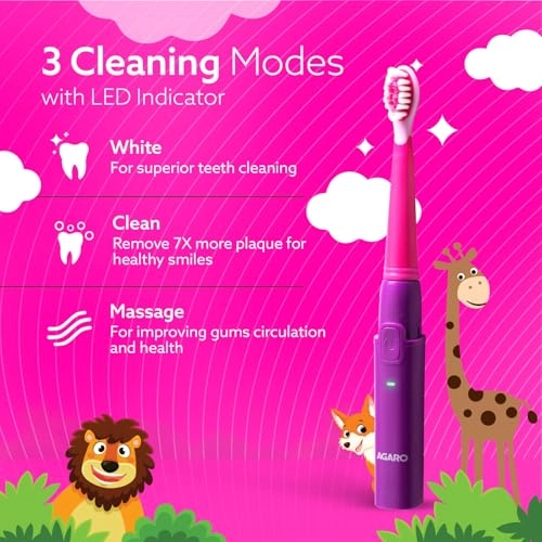 REX - Sonic 3 Modes Rechargeable