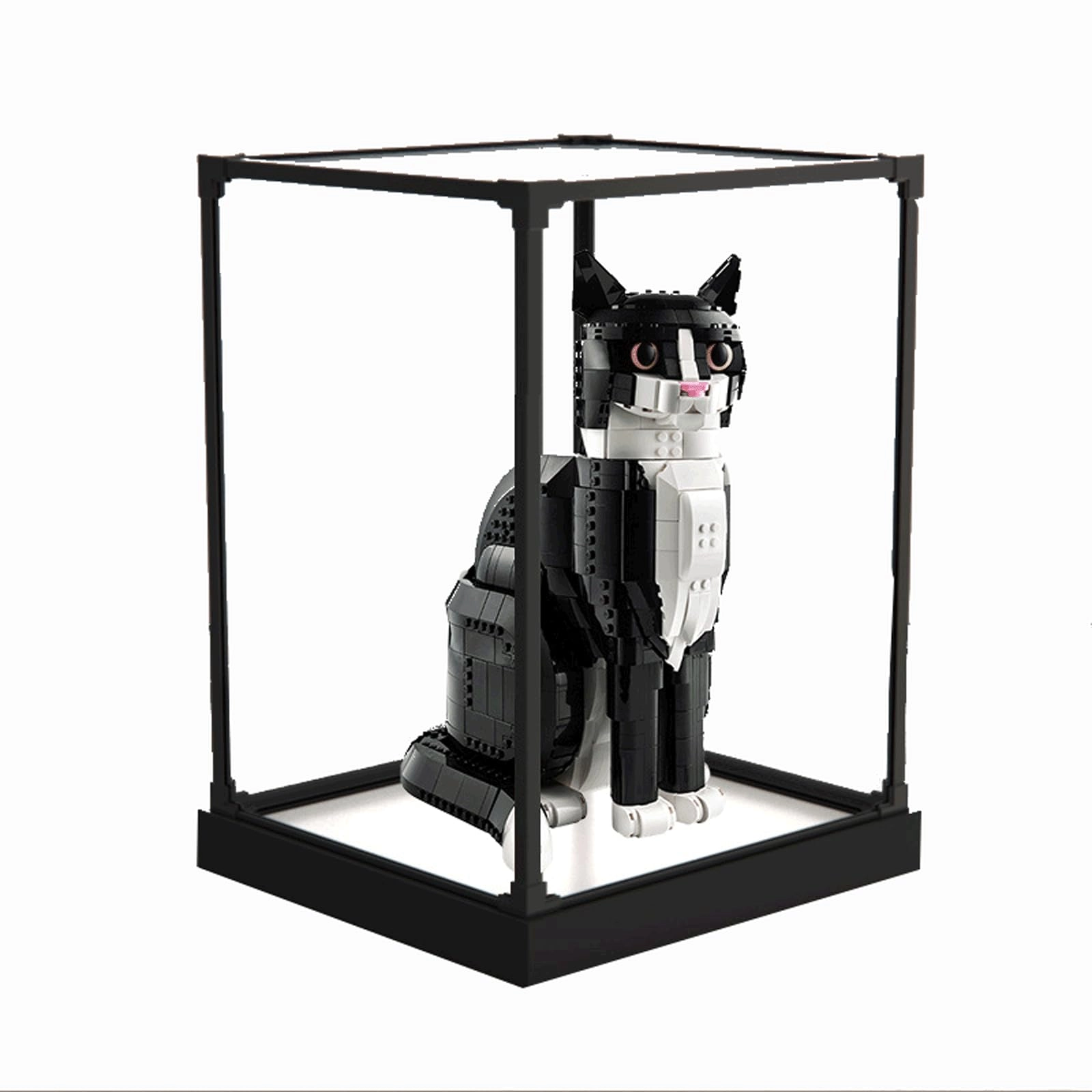 TIANQING Acrylic Display Case - 1 Lego 21349