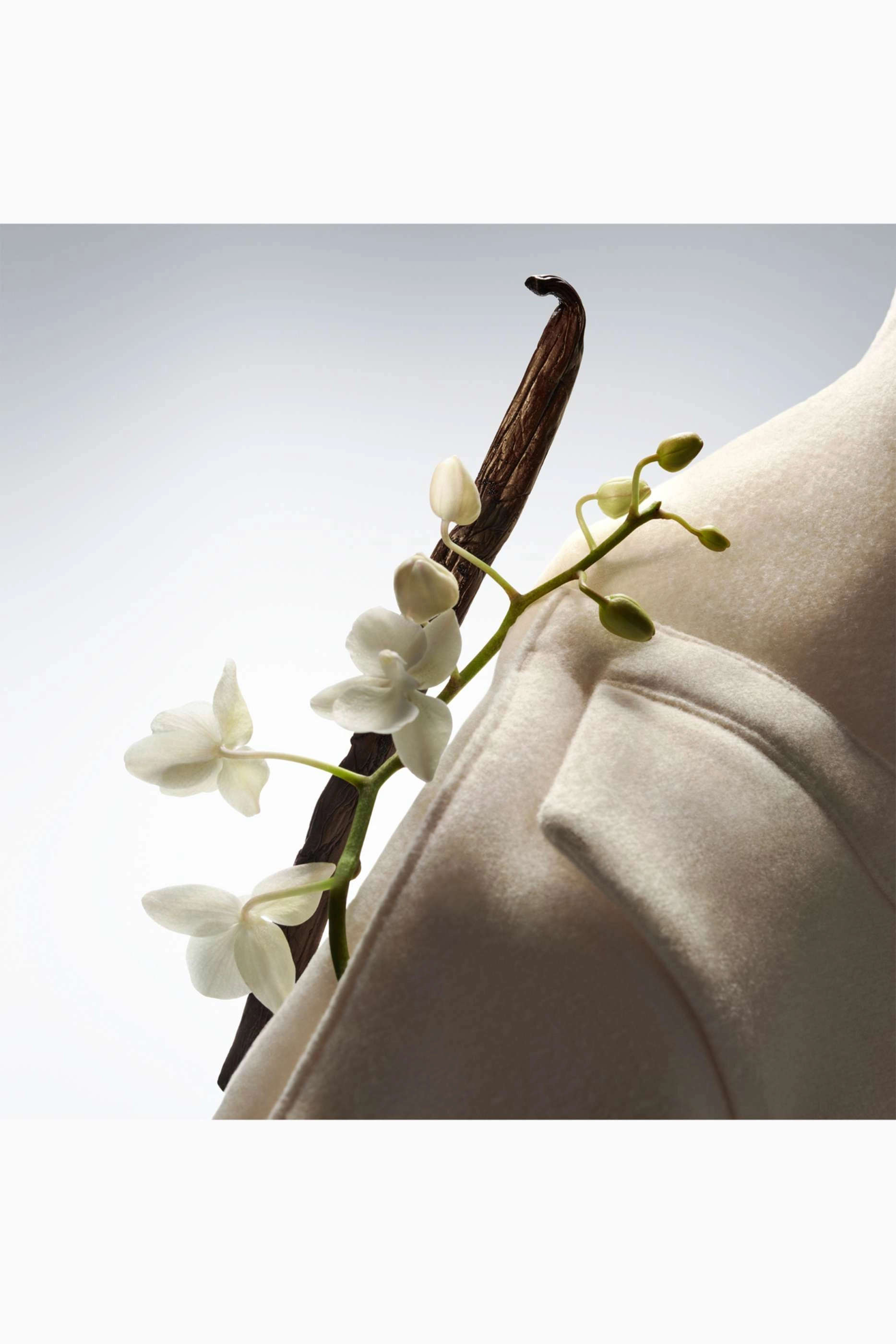 Exhilarating Vanilla Eau de Parfum 100 ml