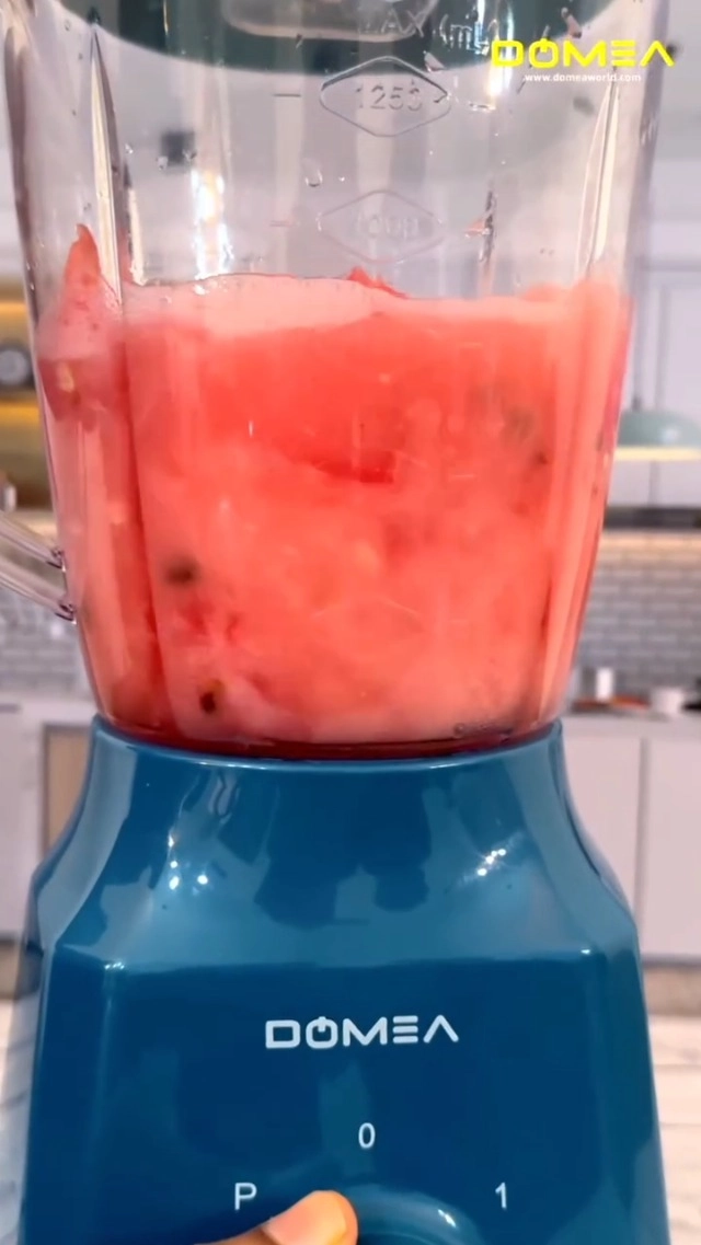 3-in-1 Blender - 300-350W
