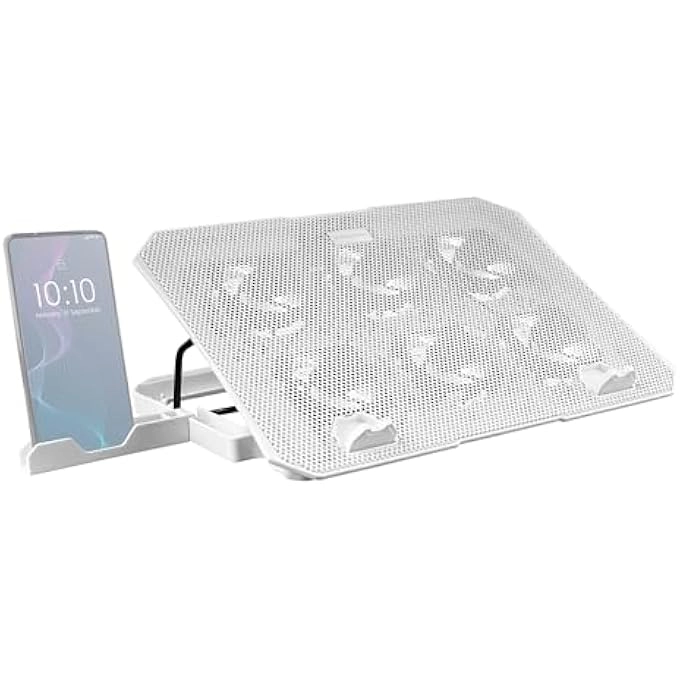 rayihni MNBC23 - 6 16"