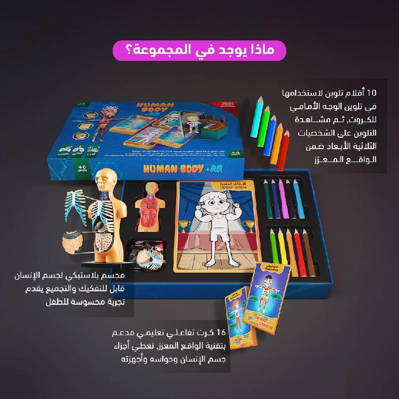 Interactive Body Parts - 6 Years and Above