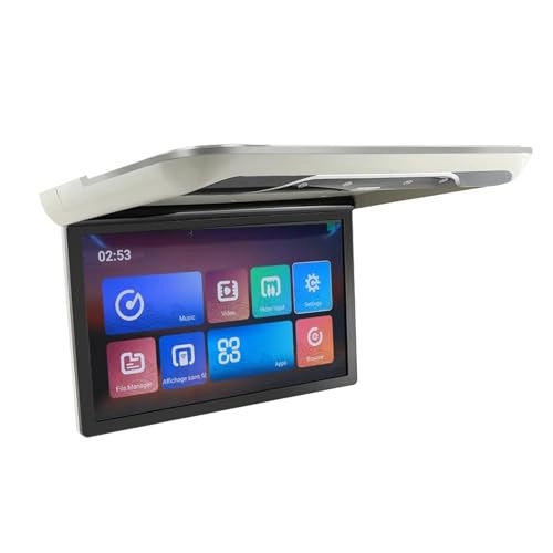 Roofmount LCD Monitor - 19in